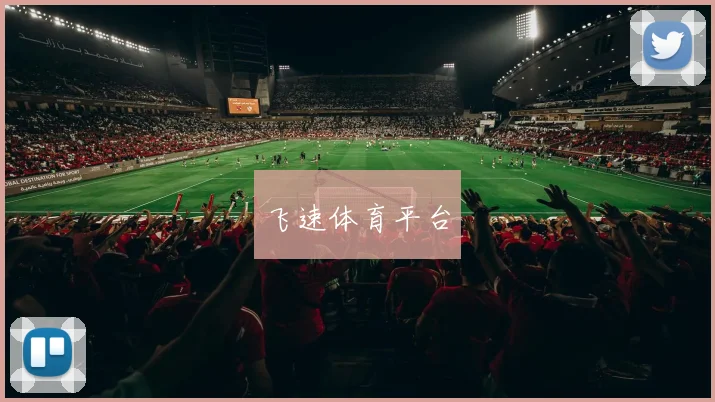 飞速体育平台