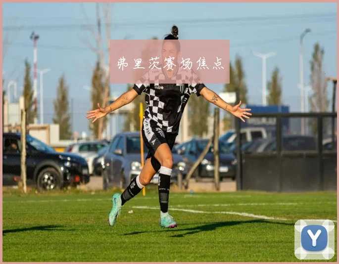 弗里茨赛场焦点