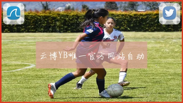 云博YB唯一官方网站自动