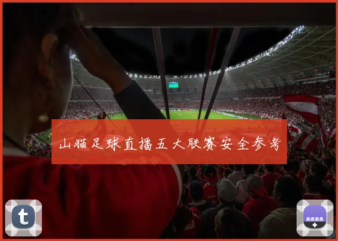 山猫足球直播五大联赛安全参考