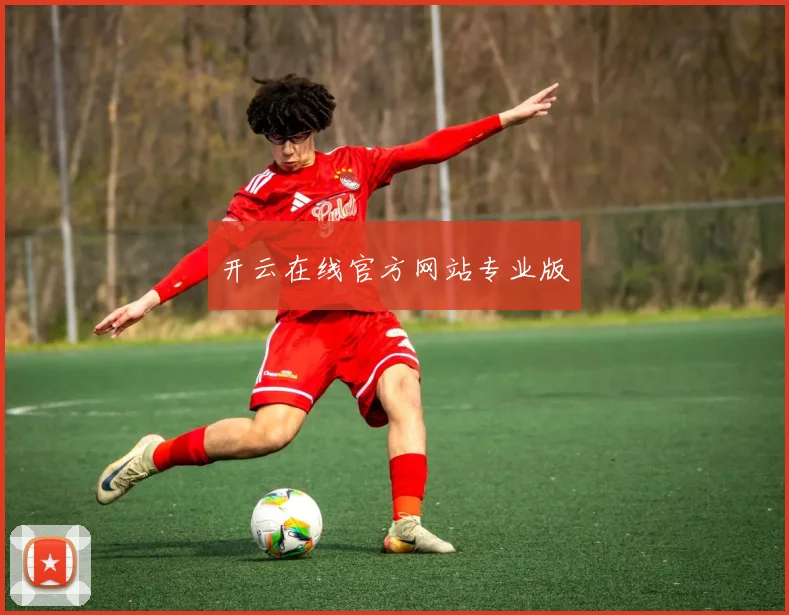 开云在线官方网站专业版