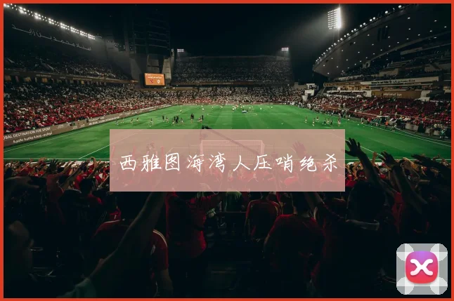 西雅图海湾人压哨绝杀