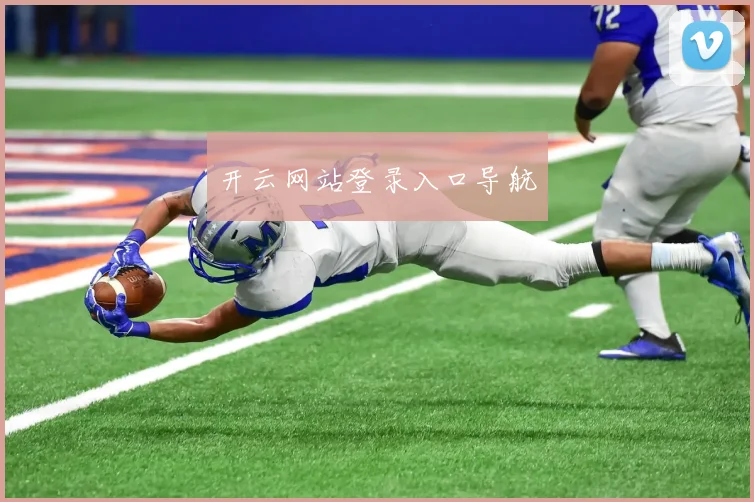 开云网站登录入口导航