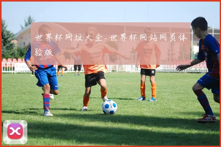 世界杯网址大全_世界杯网站网页体验版