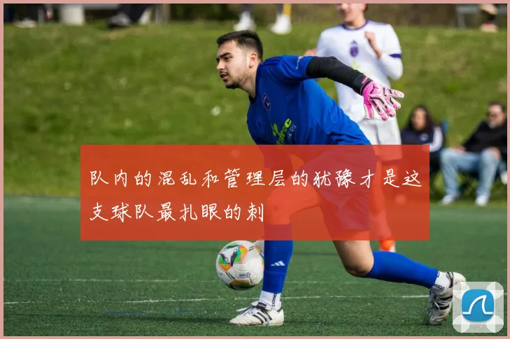 队内的混乱和管理层的犹豫才是这支球队最扎眼的刺