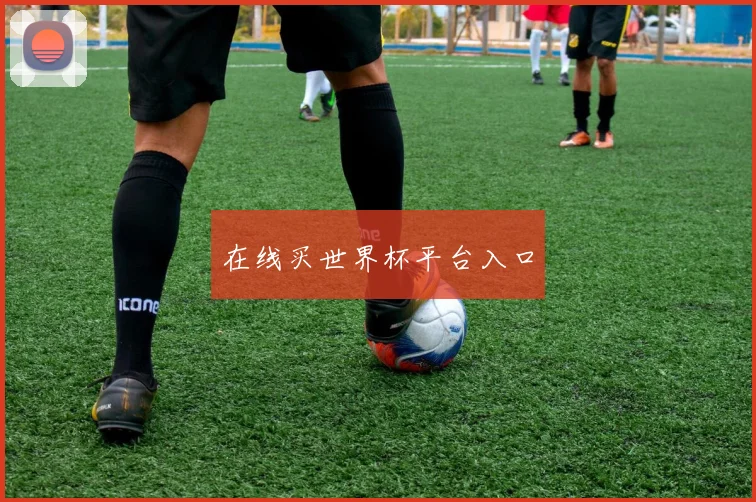 在线买世界杯平台入口