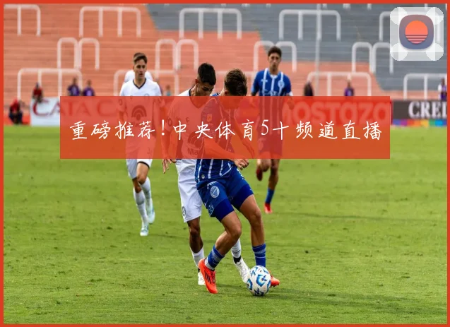 重磅推荐!中央体育5十频道直播