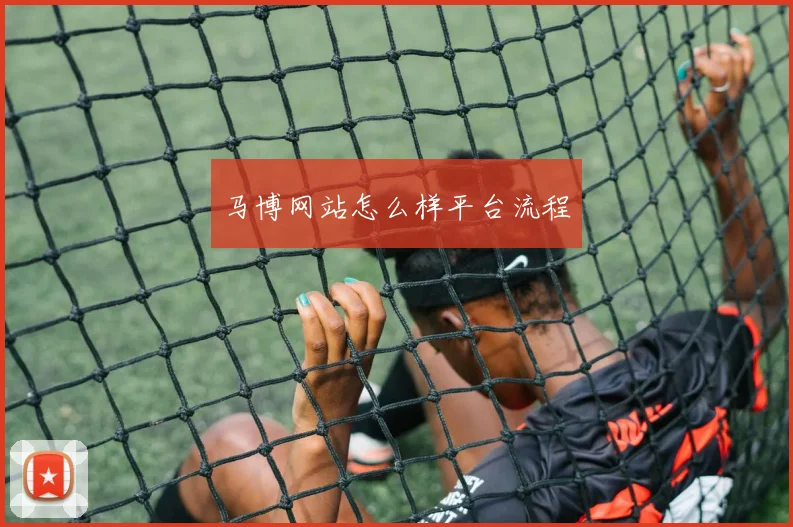 马博网站怎么样平台流程