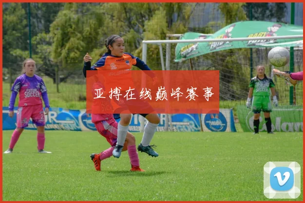 亚搏在线巅峰赛事