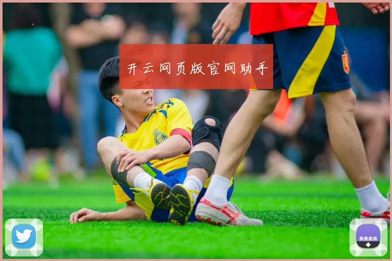 开云网页版官网助手