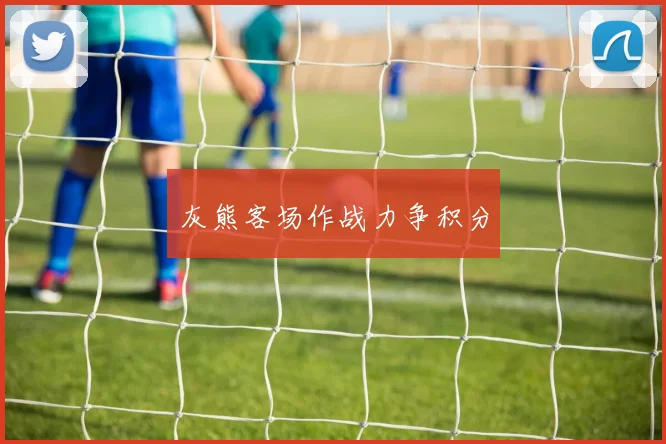 灰熊客场作战力争积分