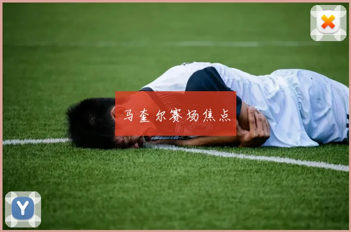 马奎尔赛场焦点