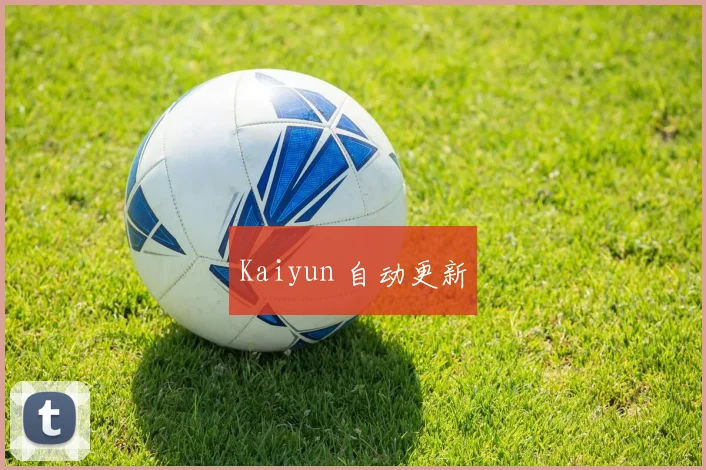 Kaiyun 自动更新