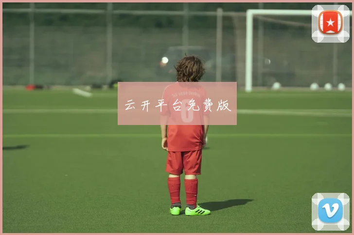 云开平台免费版