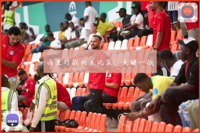 马里对战纳米比亚：关键一战