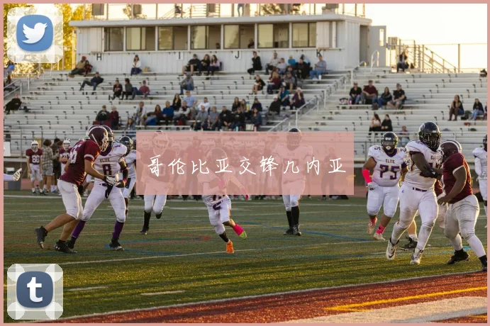 哥伦比亚交锋几内亚