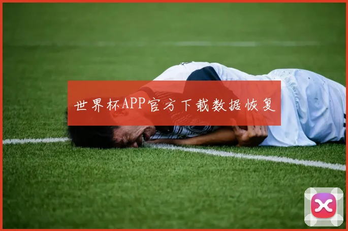 世界杯APP官方下载数据恢复