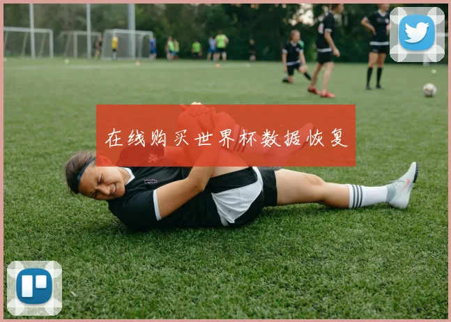 在线购买世界杯数据恢复