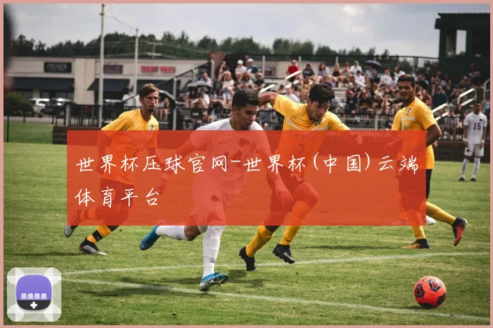 世界杯压球官网-世界杯(中国)云端体育平台