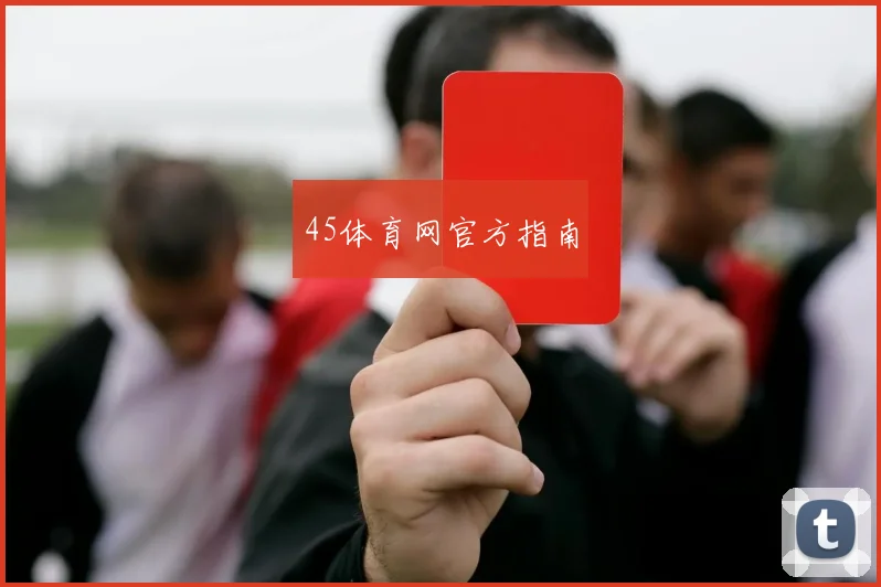 45体育网官方指南