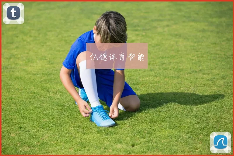 亿德体育智能