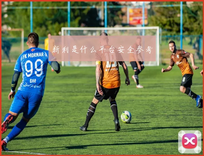 新利是什么平台安全参考