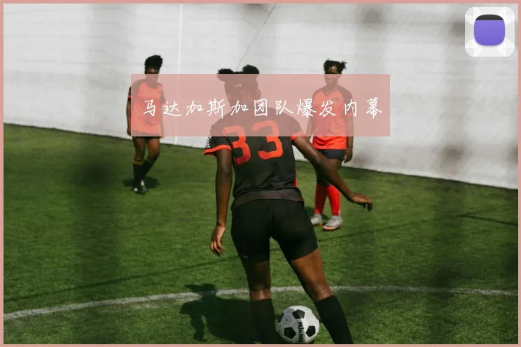 马达加斯加团队爆发内幕