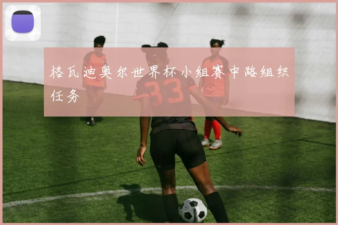 格瓦迪奥尔世界杯小组赛中路组织任务