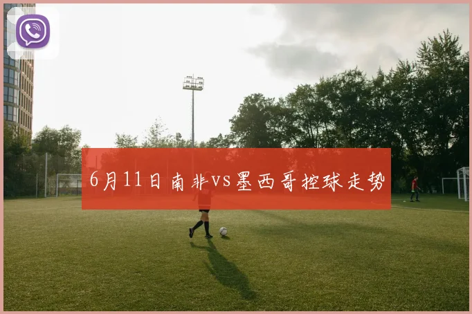 6月11日南非vs墨西哥控球走势