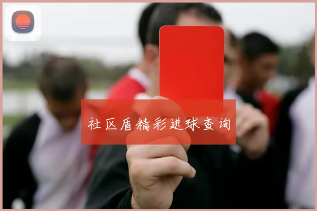 社区盾精彩进球查询