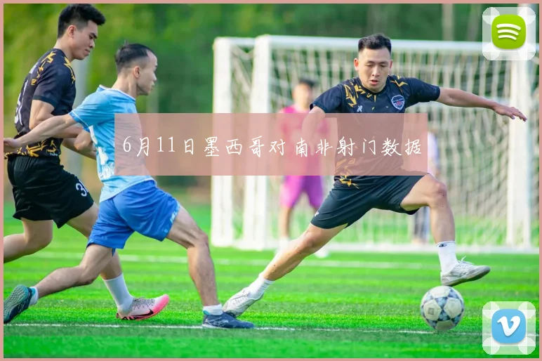 6月11日墨西哥对南非射门数据