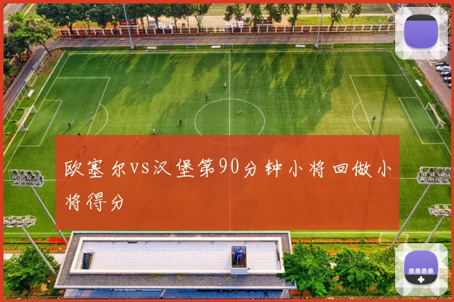 欧塞尔vs汉堡第90分钟小将回做小将得分