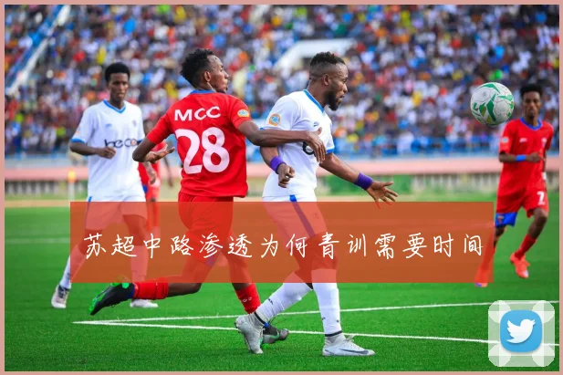 苏超中路渗透为何青训需要时间