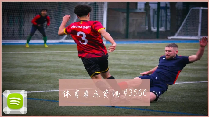 赫鲁斯蒂奇澳大利亚世界杯首发悬念