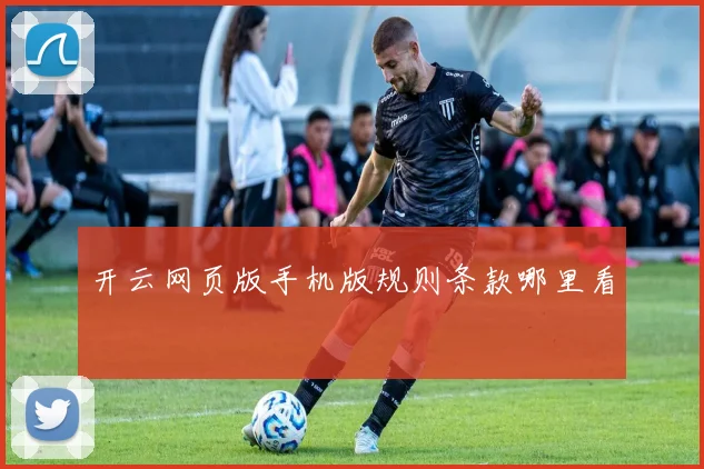 开云网页版手机版规则条款哪里看