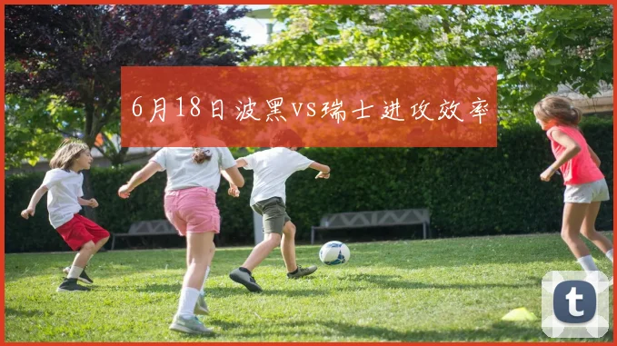 6月18日波黑vs瑞士进攻效率